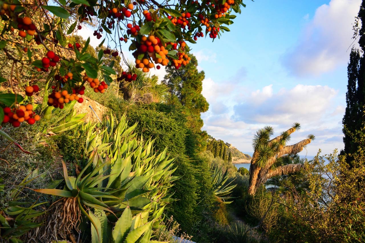 Apertura straordinaria con visita guidata del Giardino Piacenza Boccanegra di Ventimiglia